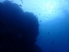 �����C�g�Ί_���_�C�r���O�V���b�v�̎ʐ^2