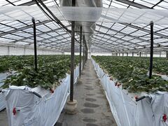 ���c�_���̎ʐ^1