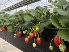 �ێR���������̎ʐ^1