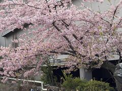 �V�����̎ʐ^1