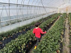 �������R�_��@�����������񂿂��̎ʐ^1