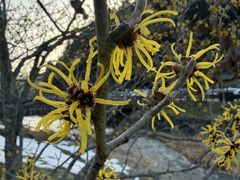 ���J���q����Ղ̎ʐ^2