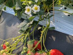 �����������̐X�̎ʐ^1