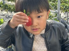 �x�_���̎ʐ^2