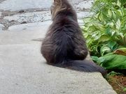 �ǂĂ��񂳂�̗��Ή���_�����̓��e�ʐ^1