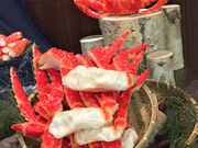 nekoneko����̃r���b�t�F�_�C�j���O hal -�n��-�̓��e�ʐ^2