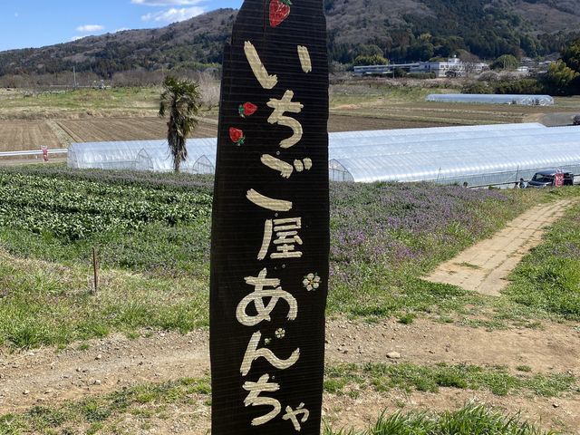 �����������񂿂��
�D�������Z����Ƃ��o���񂪁A�Ή����Ă���܂���_�������R�_��@�����������񂿂��