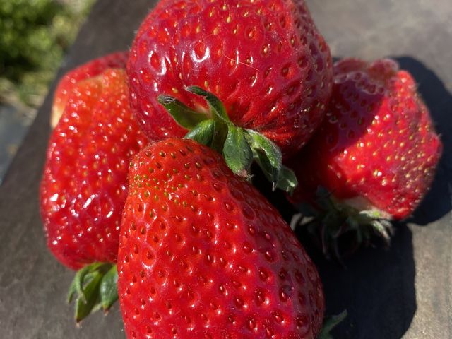 �嗱�̂��������A�S���S������܂�_�������R�_��@�����������񂿂��