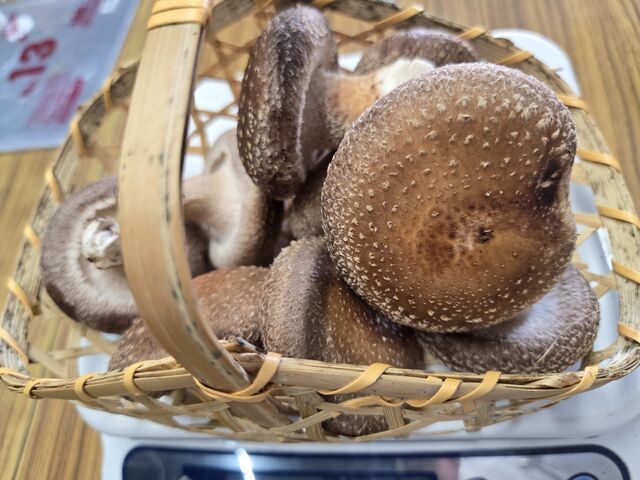 �������B�e���܂����B�J�S�̏d���͎��O�Ɉ����ĉ������Ă��܂��B_���~�������� �L�@�_��