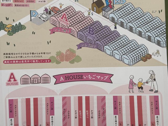 �ꏊ�̔z�u_�₿�܂� ���R�t�@�[��