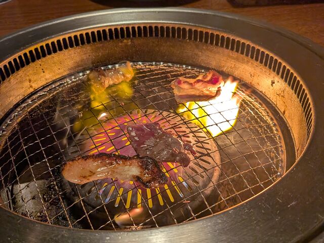 kanamisyusa����̋��p �C�I���V�Y���X�̓��e�ʐ^2