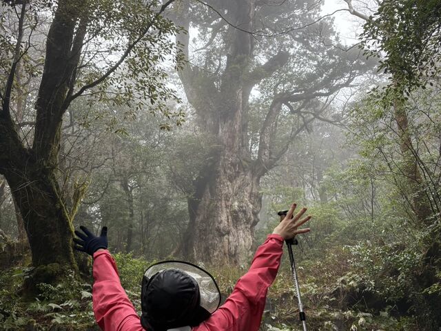 �ꕶ��_Yamakara���v��