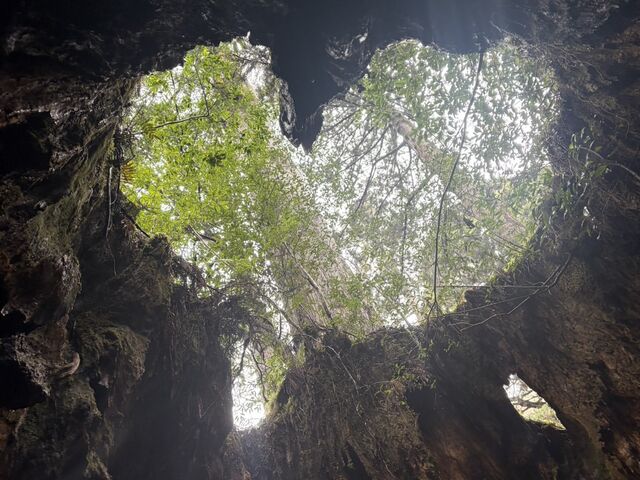 �E�C���\����_Yamakara���v��