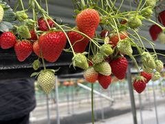 ���������݂Ȃ��̎ʐ^1