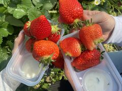 ���̉w�Ƃ݂�����f��y���̎ʐ^1