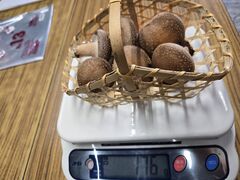 ���~�������� �L�@�_���̎ʐ^1