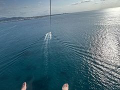 �Ί_���u���[�V�[�T�[�̎ʐ^1