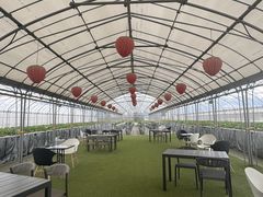 �₿�܂� ���R�t�@�[���̎ʐ^2