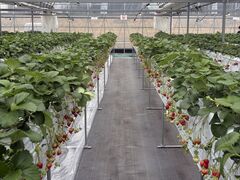 �����܂�ӂ��[�ނ̎ʐ^1