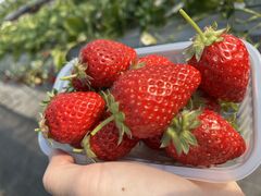 ��イ�����̂��������̎ʐ^1