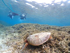 ��������񂳂�̋{��blue�܂ق�΂ւ̓��e�ʐ^1