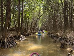 ���܂񂾂܂�̎ʐ^3