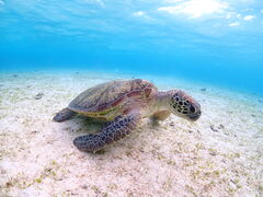 Nami�{�Ó��̎ʐ^1