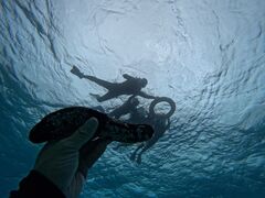 �}�����N���u Gigi�̎ʐ^1