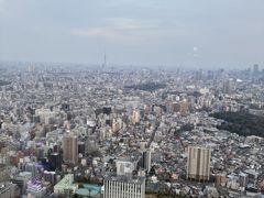 �T���V���C��60�W�]�� �Ă�ڂ��p�[�N�̎ʐ^1