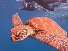 SHISHI�Ί_���̎ʐ^1