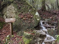 Yamakara���v���̎ʐ^4