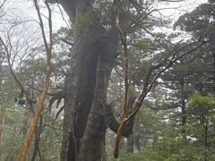 Yamakara���v���̎ʐ^5