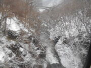 �g�V���[����̓����k�J�̓��e�ʐ^1