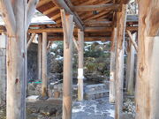 �g�V���[����̓��������̓��̓��e�ʐ^1