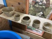 Rie����̒O�g�� ���K�q�̓��e�ʐ^2