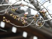 U����̋��M���̍��̓��e�ʐ^1