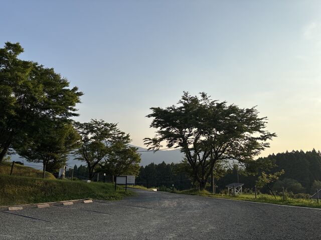 ����_�숢�h�u���[�r�[�K�[�f��