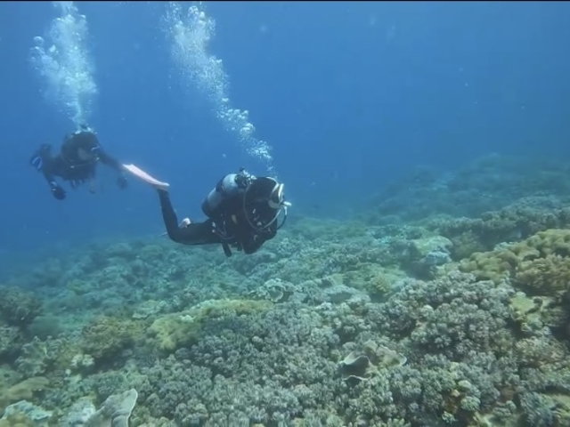 �|�C���g��: ����_DIVE IN CHATAN