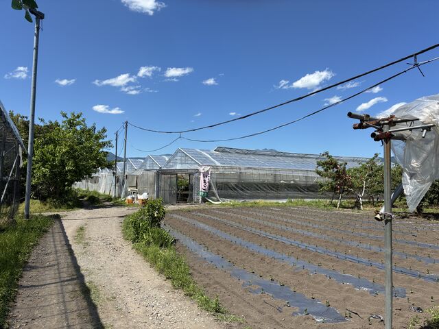 �n�E�X�O��_��ꉷ��Z���^�[�@�������̓�