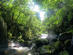 �A�C�A���@�A�E�g�h�A�@�A�h�x���`���[�Y<Iron Outdoor Adventures>�̎ʐ^1
