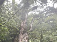 Yamakara���v���̎ʐ^3