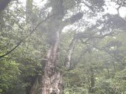 �R������񂳂��Yamakara���v���̓��e�ʐ^3