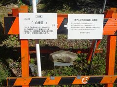 �˂��ނ炳��̓�A���v�X�ԐΉ��� �u�������v�ւ̓��e�ʐ^1