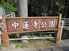 �Ԃ���񂳂�̒��@�����������ւ̓��e�ʐ^1