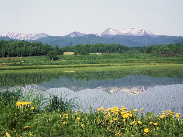 �s���l�V��_�s���l�V��