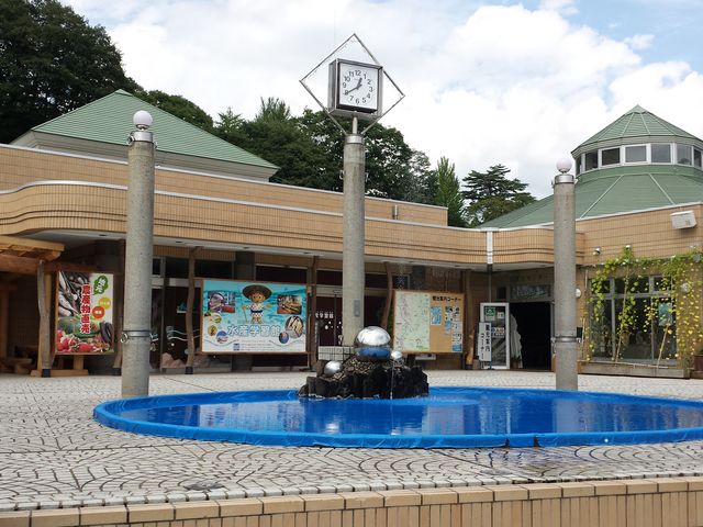 じゃらんnetユーザーの投稿写真_道の駅 みなかみ水紀行館