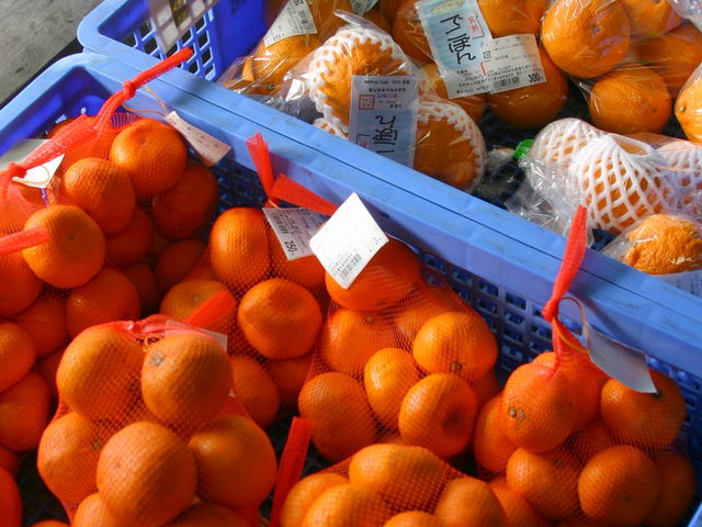 ���̉w �F��