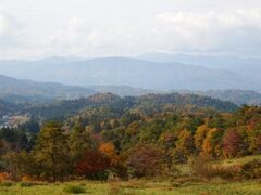 ���C�R�i�����C�R�j�̎ʐ^1