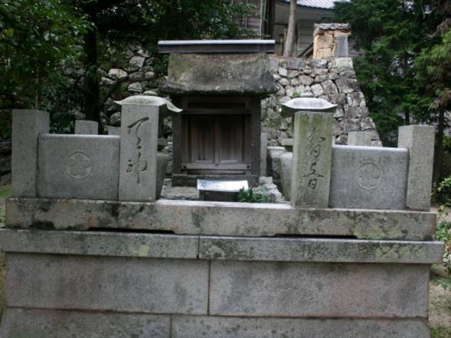 �B���V�_�̎ʐ^1