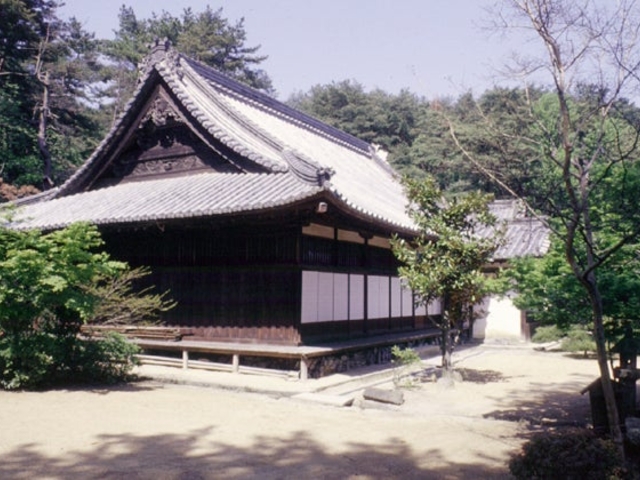 �������̎ʐ^1